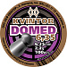 Пули Квинтор Domed 6,35 мм (100 шт) 2,2 г
